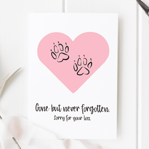 42-best-pictures-pet-sympathy-cards-what-to-write-in-a-pet-sympathy-card-by-punkpost-punkpost