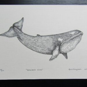 humpback whale print