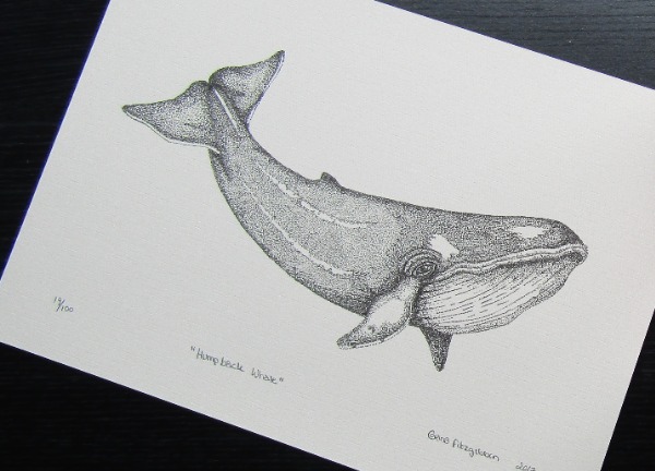 humpback whale print