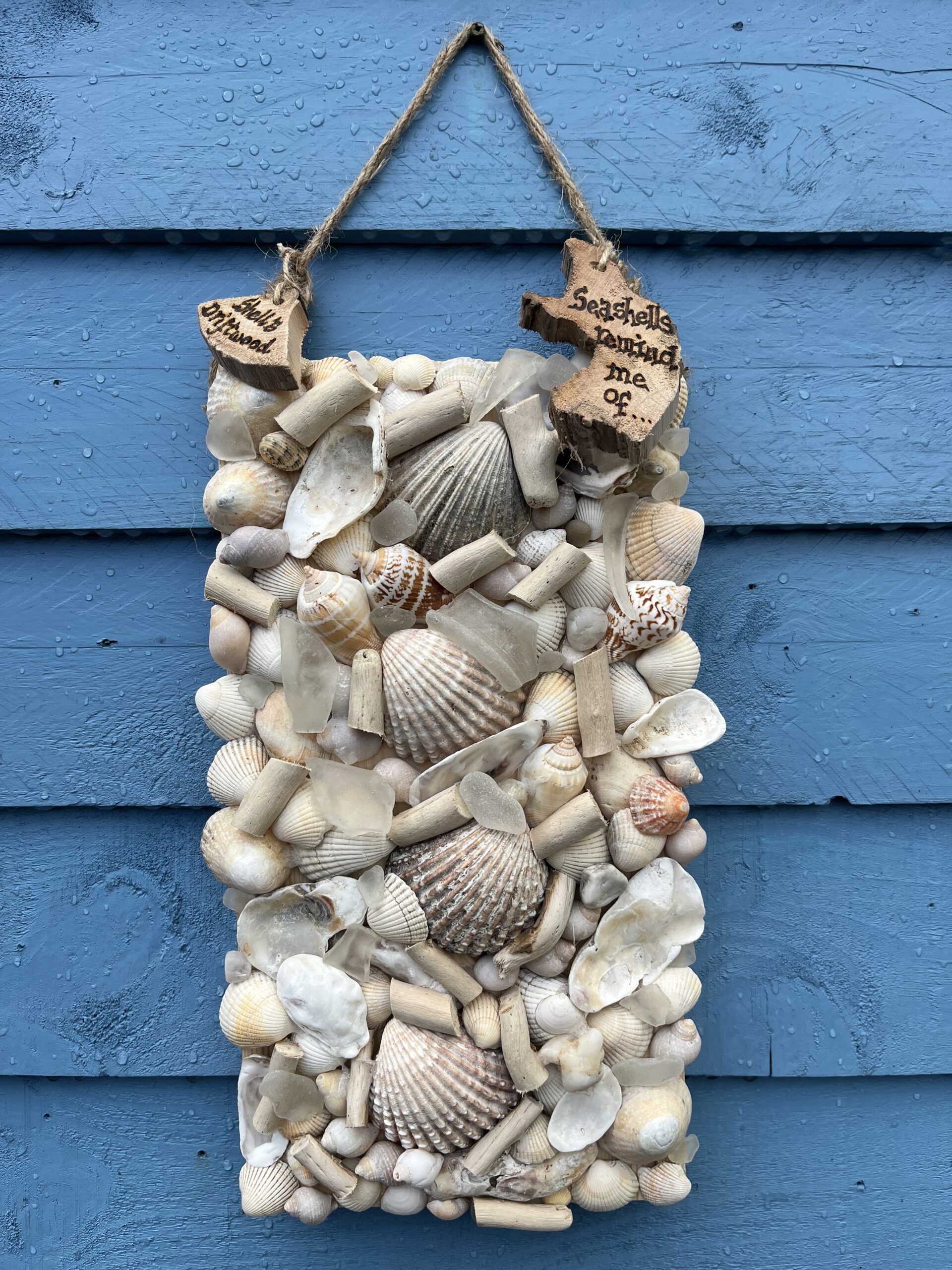 driftwood and shell wallhangings